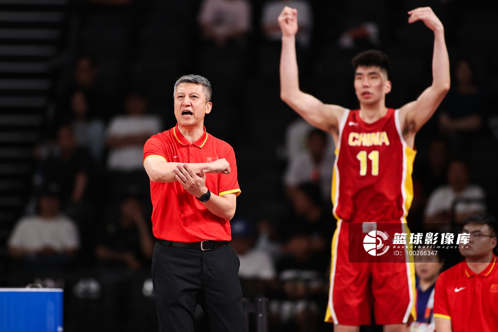 福冈黄蜂vs广岛三箭无插件观看福冈黄蜂vs广岛三箭直播_福冈黄蜂vs广岛三箭高清直播在线观看_无插件观看福冈黄蜂vs广岛三箭直播